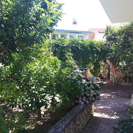 Apartmani Maja Kanica 罗戈兹尼察 外观 照片